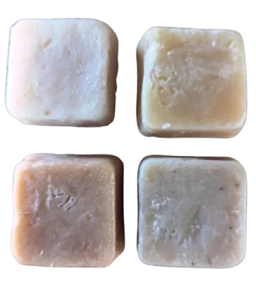Apitherapy Sample Pack
