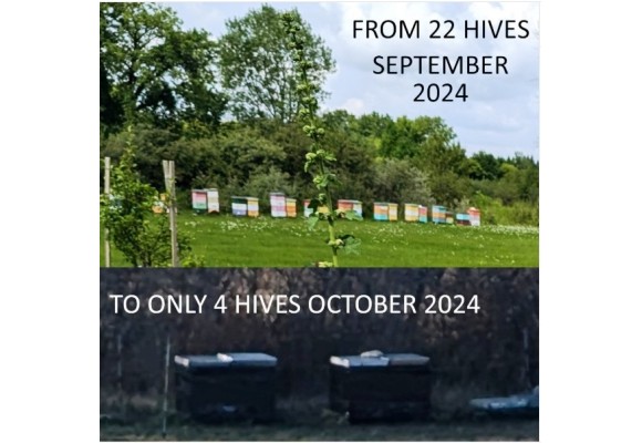 2024 Trials and Tribulations